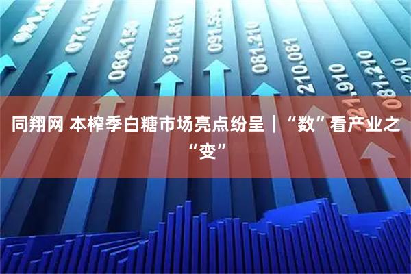 同翔网 本榨季白糖市场亮点纷呈｜“数”看产业之“变”