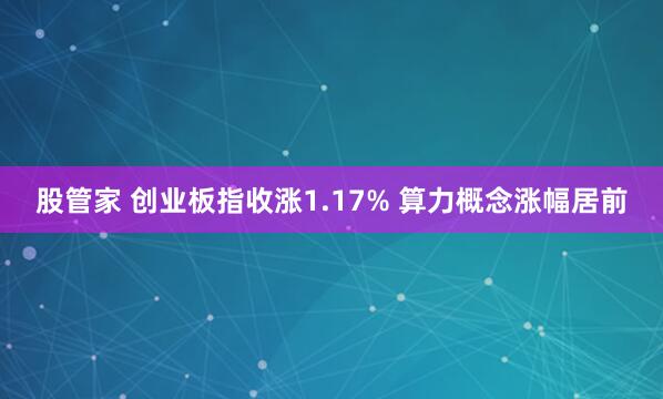 股管家 创业板指收涨1.17% 算力概念涨幅居前