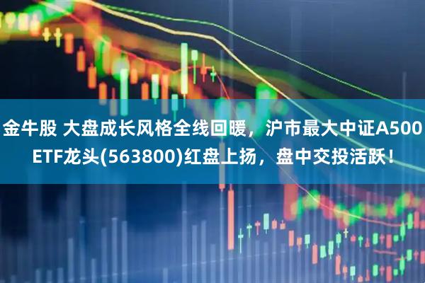 金牛股 大盘成长风格全线回暖，沪市最大中证A500ETF龙头(563800)红盘上扬，盘中交投活跃！