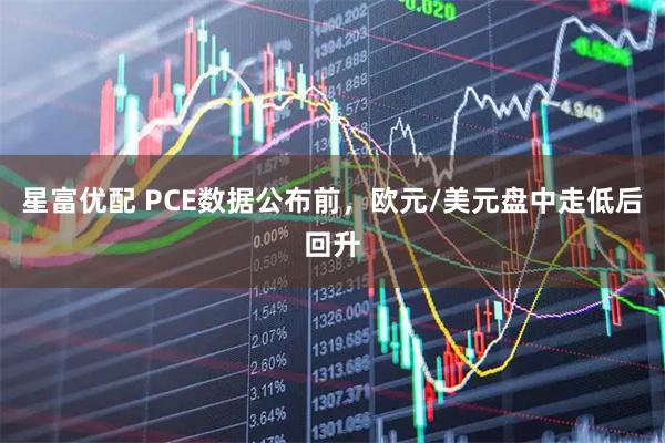 星富优配 PCE数据公布前，欧元/美元盘中走低后回升