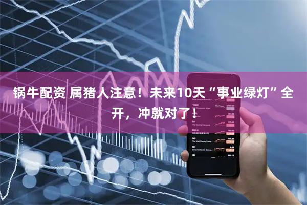 锅牛配资 属猪人注意！未来10天“事业绿灯”全开，冲就对了！