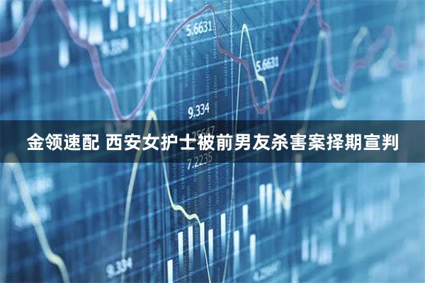 金领速配 西安女护士被前男友杀害案择期宣判