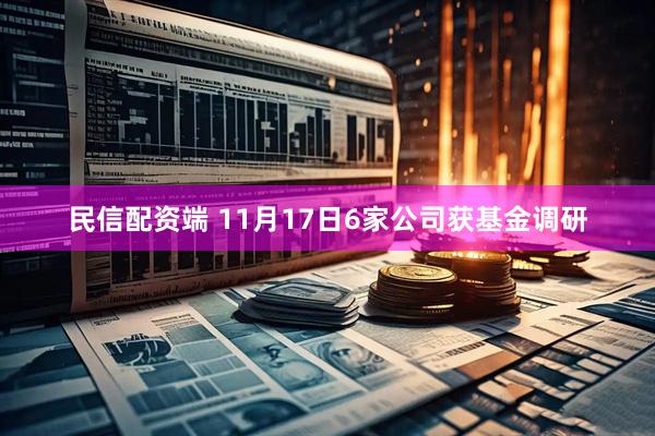 民信配资端 11月17日6家公司获基金调研