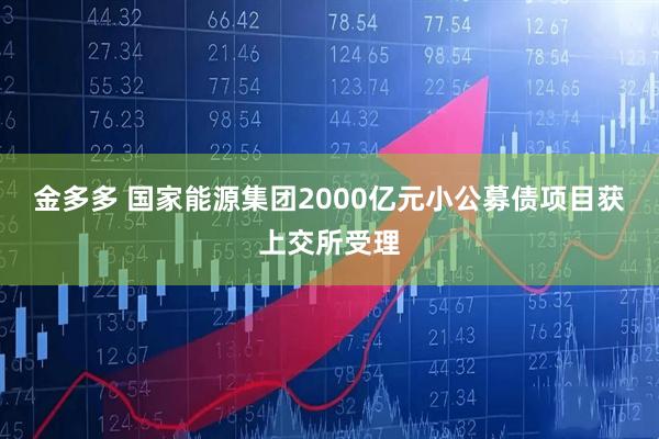 金多多 国家能源集团2000亿元小公募债项目获上交所受理