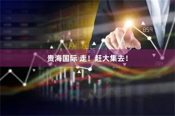 贵海国际 走！赶大集去！