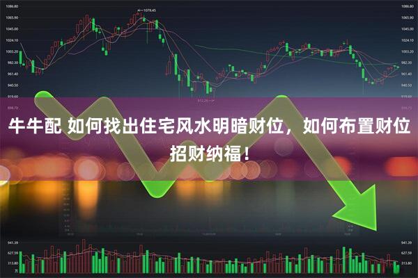 牛牛配 如何找出住宅风水明暗财位，如何布置财位招财纳福！